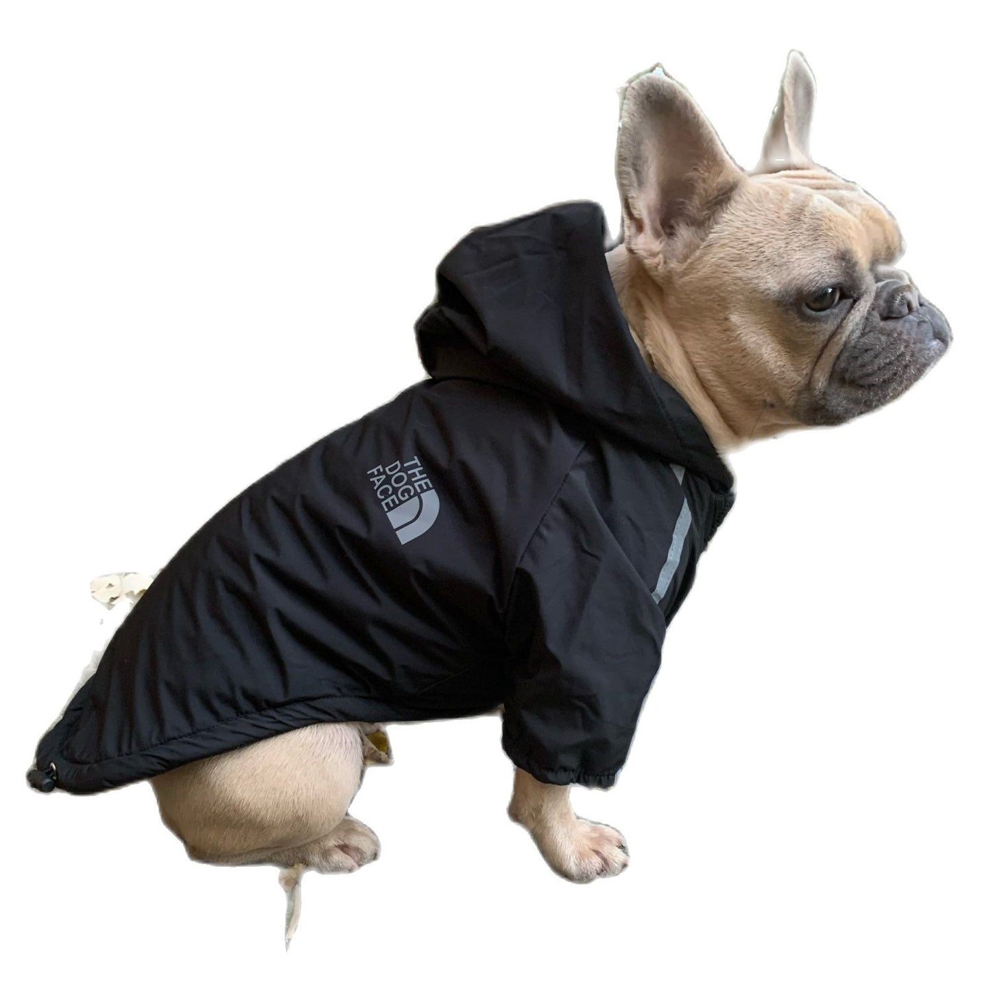 TJ Stylish Pet Dog Waterproof Warm Coat Made for Adult Dog & Small Dogs