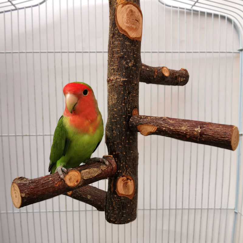 Parrot Bird Wood Stand Pole gym plays Toy