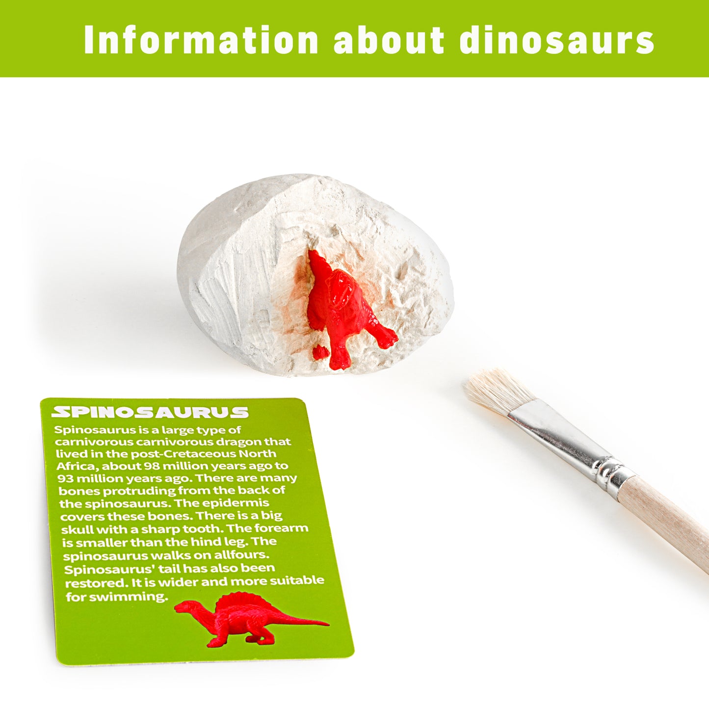 TJ Robotime 12 Pcs Dino Eggs With 2 Sets of Tools Creative Toys For Kids Children DIY Home US Stock Dropshipping